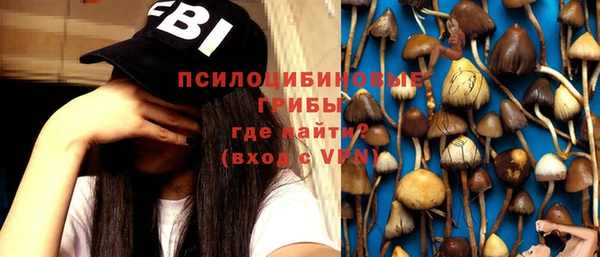 круглые Корсаков