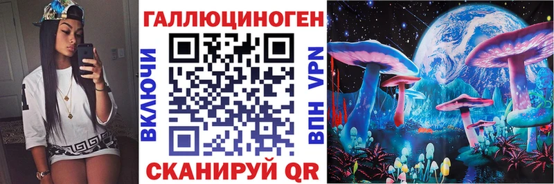 hydra   Елизаветинская  Псилоцибиновые грибы Psilocybine cubensis 